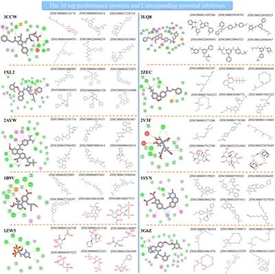 Validation of Deep Learning-Based DFCNN in Extremely Large-Scale Virtual Screening and Application in Trypsin I Protease Inhibitor Discovery